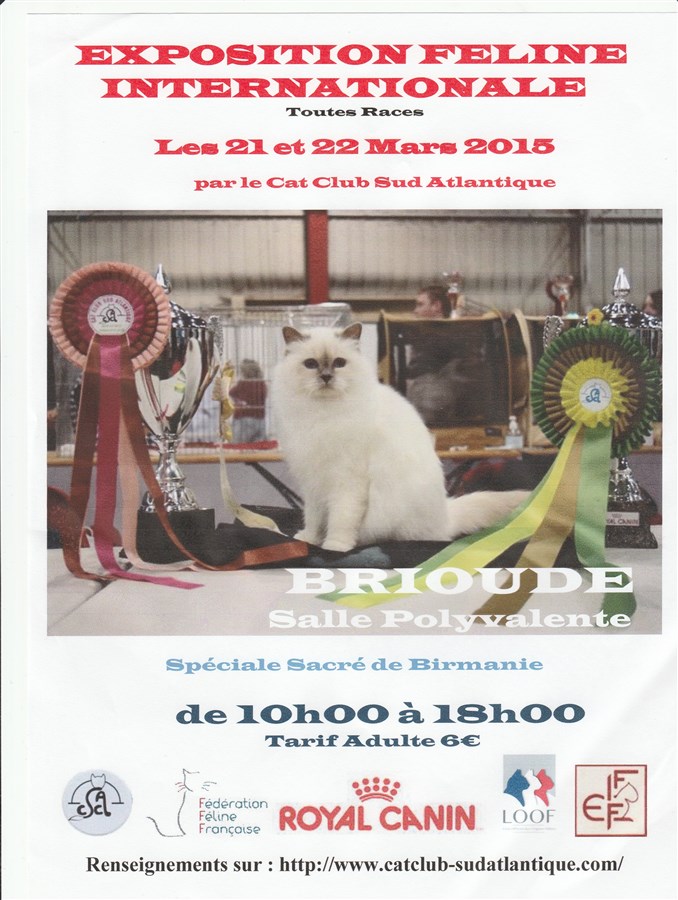 EXPOSITION FELINE INTERNATIONALE