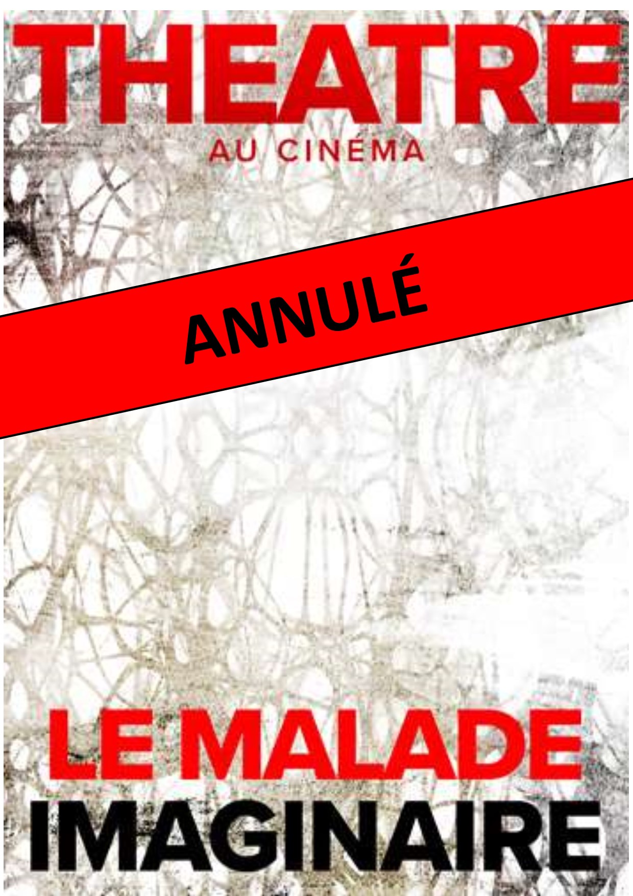 SAISON CULTURELLE - LA COMEDIE FRANCAISE s’invite à Brioude "Le malade imaginaire de Molière"